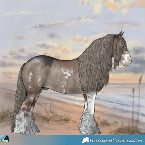 Horse Color:Liver Red Dun Mushroom Sabino Rabicano 