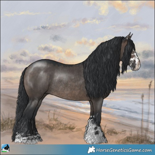 Horse Color:Brown Dun Mushroom Sabino Rabicano 
