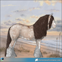 Horse Color:Classic Champagne Ice Dun Sabino