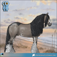 Horse Color:Grullo Mushroom Sabino