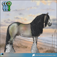 Horse Color:Grullo Mushroom Sabino 