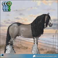 Horse Color:Grullo Mushroom Sabino