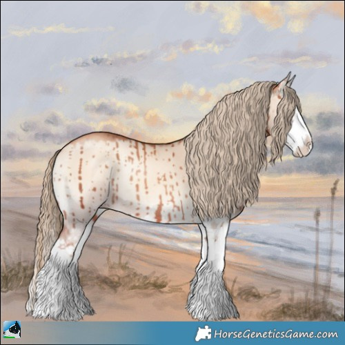 Horse Color:Gold Champagne Onyx Splash Brindle 