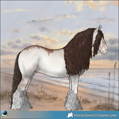 Horse Color:Classic Champagne Onyx Mushroom Sabino 