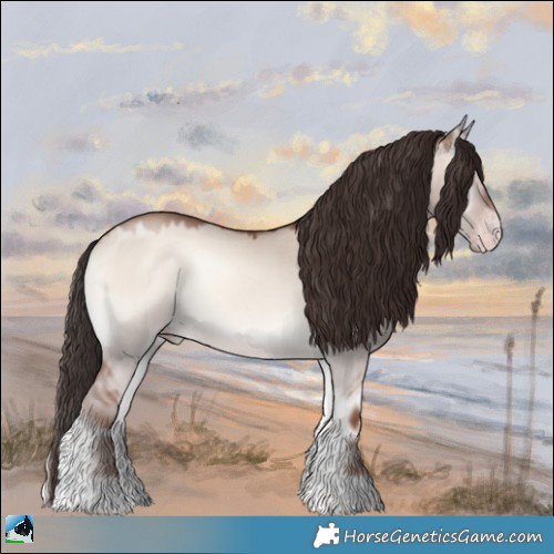 Horse Color:Classic Champagne Onyx Mushroom Rabicano 