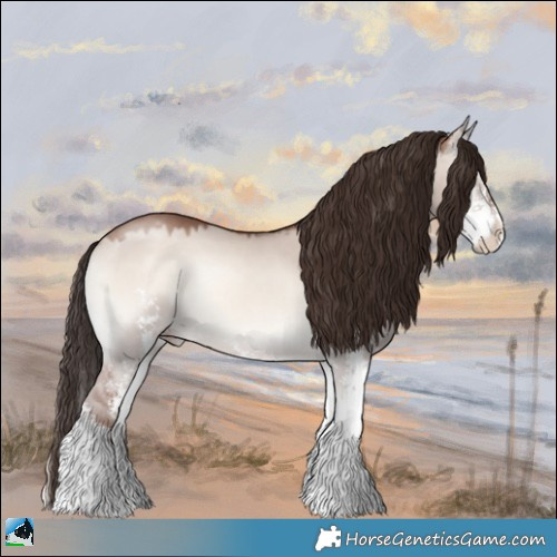 Horse Color:Classic Champagne Onyx Mushroom Sabino 