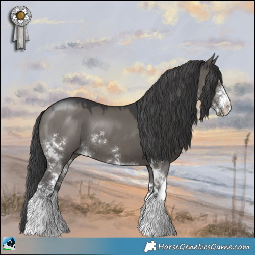 Horse Color:Grullo Sabino 