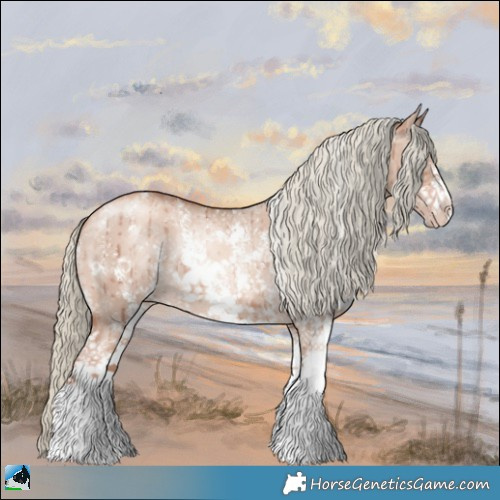 Horse Color:Gold Champagne Dun Mushroom Sabino Rabicano Brindle 