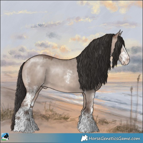 Horse Color:Sable Champagne Dun Mushroom Sabino 