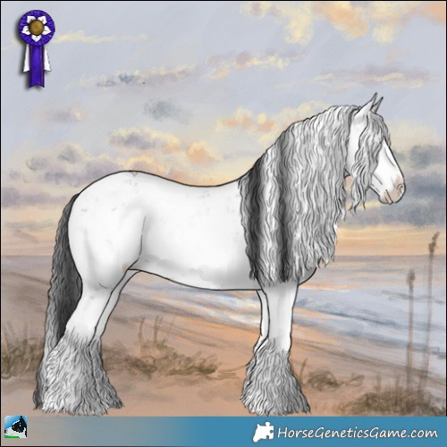 Horse Color:Grullo Ice Sabino 