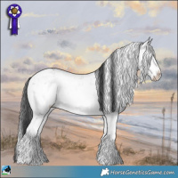Horse Color:Grullo Ice Sabino