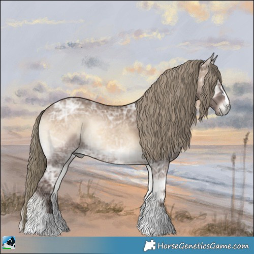 Horse Color:Liver Red Dun Ice Onyx Rabicano 