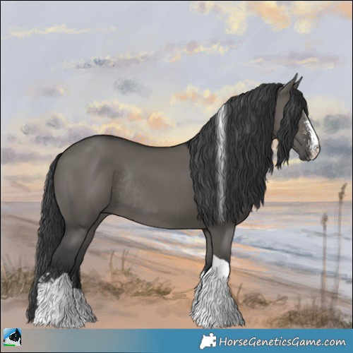 Horse Color:Grullo Mushroom Sabino Tobiano Rabicano 