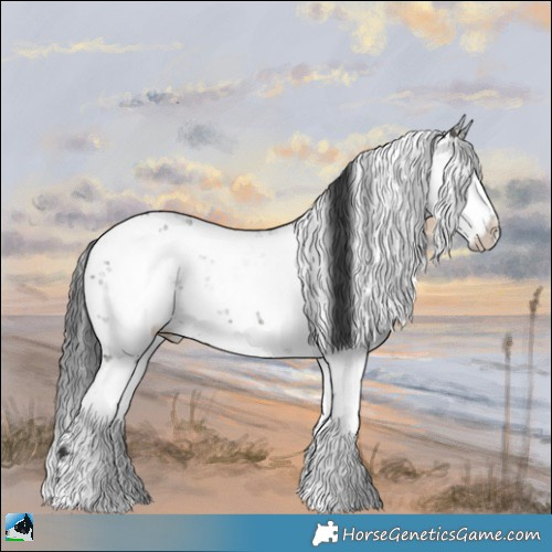 Horse Color:Grullo Mushroom Sabino Rabicano 