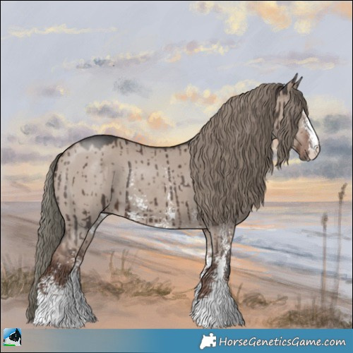 Horse Color:Liver Red Dun Mushroom Sabino Brindle 