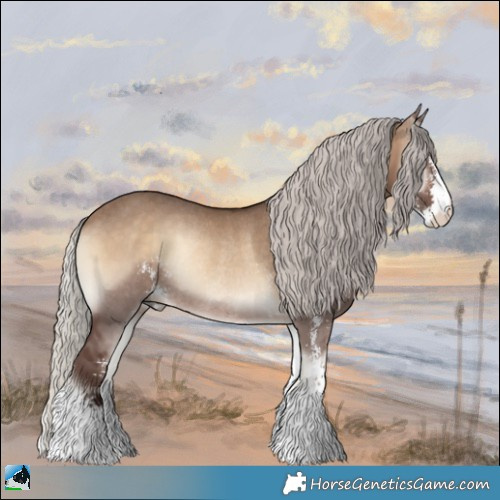 Horse Color:Silver Brown Onyx Sabino Rabicano 