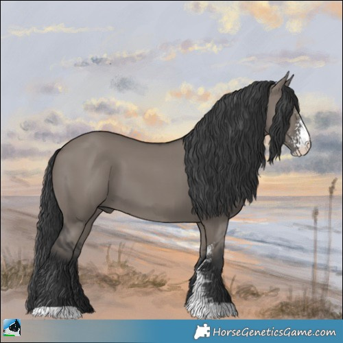 Horse Color:Grullo Mushroom Sabino 