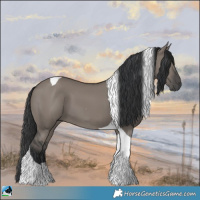 Horse Color:Grullo Tobiano 