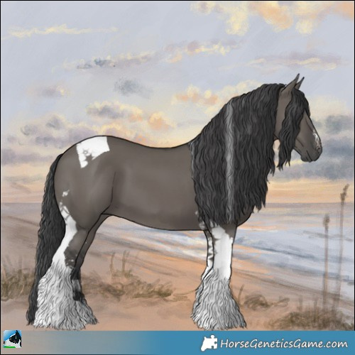 Horse Color:Grullo Sabino Tobiano 