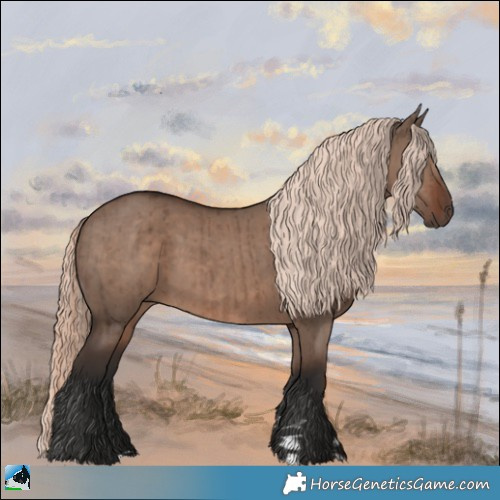 Horse Color:Liver Red Dun Mushroom Rabicano Brindle 