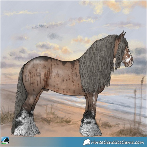 Horse Color:Liver Red Dun Mushroom Sabino Rabicano Brindle 