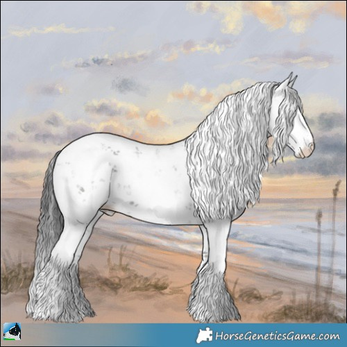 Horse Color:Grullo Mushroom Sabino 