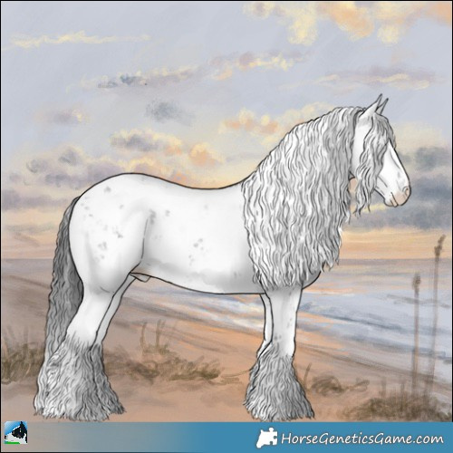 Horse Color:Grullo Mushroom Sabino Rabicano 