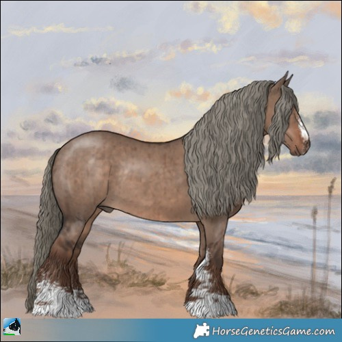 Horse Color:Liver Red Dun Mushroom Sabino Rabicano Brindle 
