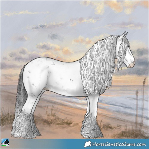 Horse Color:Grullo Mushroom Sabino Rabicano