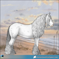 Horse Color:Grullo Mushroom Sabino Rabicano