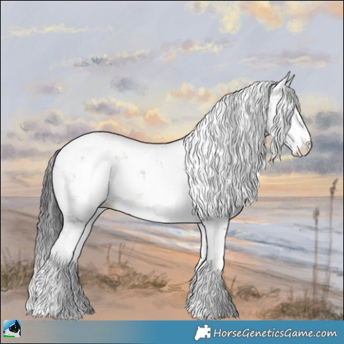 Horse Color:Grullo Onyx Sabino 