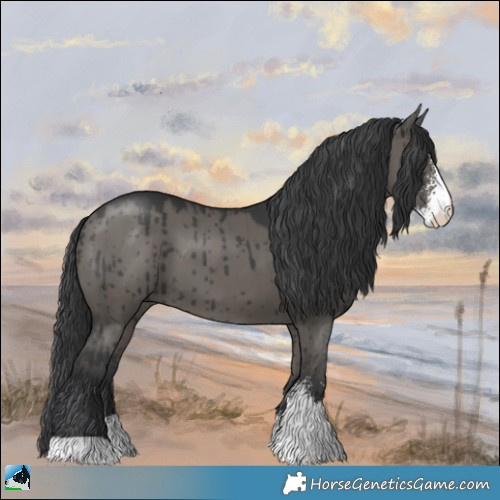 Horse Color:Grullo Mushroom Sabino Brindle 