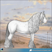 Horse Color:Grullo Sabino