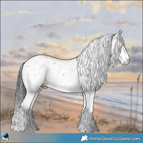 Horse Color:Grullo Onyx Sabino 