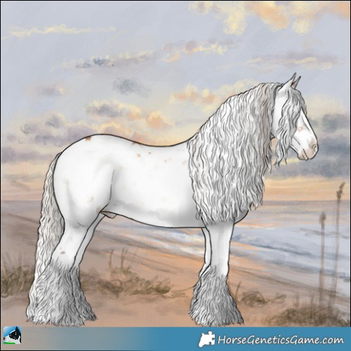 Horse Color:Silver Brown Onyx Sabino Rabicano 
