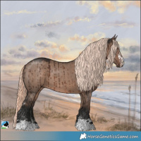 Horse Color:Liver Red Dun Mushroom Sabino Brindle 