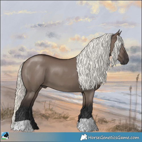 Horse Color:Liver Red Dun Mushroom 