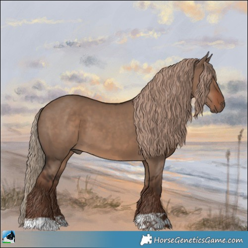 Horse Color:Liver Red Dun 