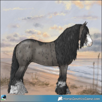 Horse Color:Grullo Mushroom Sabino Brindle