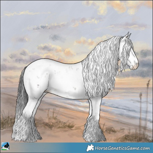 Horse Color:Brown Dun Mushroom Sabino Rabicano Brindle 