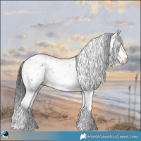 Horse Color:Grullo Mushroom Sabino Rabicano Brindle 
