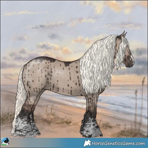 Horse Color:Liver Red Dun Mushroom Sabino Brindle 