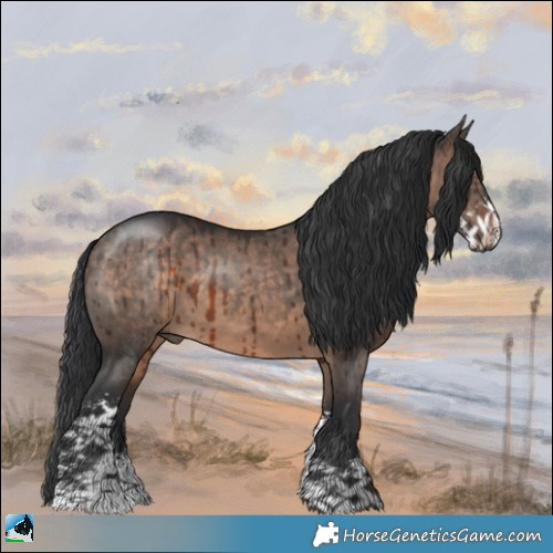 Horse Color:Brown Dun Mushroom Sabino Brindle 