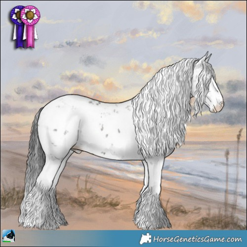 Horse Color:Grullo Mushroom Sabino 