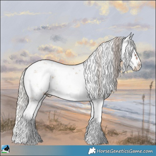 Horse Color:Silver Grullo Onyx Sabino 