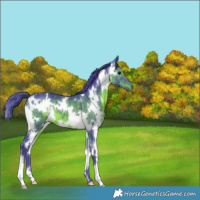 Horse Color:Watercolor White Spotted Brown 
