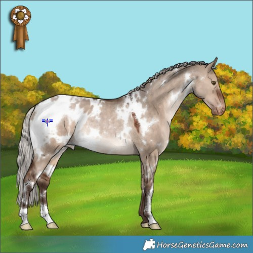 Horse Color:White Spotted Silver Bay Dun Appaloosa Rabicano 