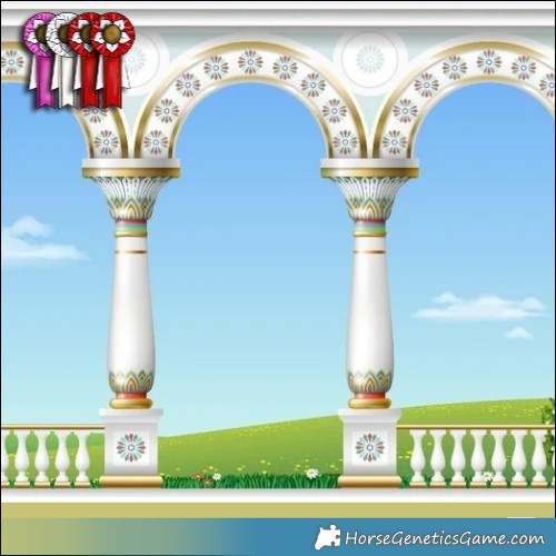 Horse Color:Gray White Spotted Sable Champagne Dun Appaloosa Rabicano 