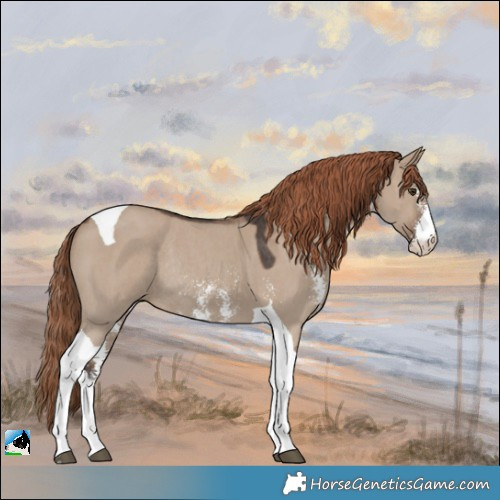 Horse Color:Liver Red Dun Sabino Tobiano Rabicano