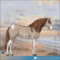 Horse Color:Liver Red Dun Sabino Tobiano Rabicano 